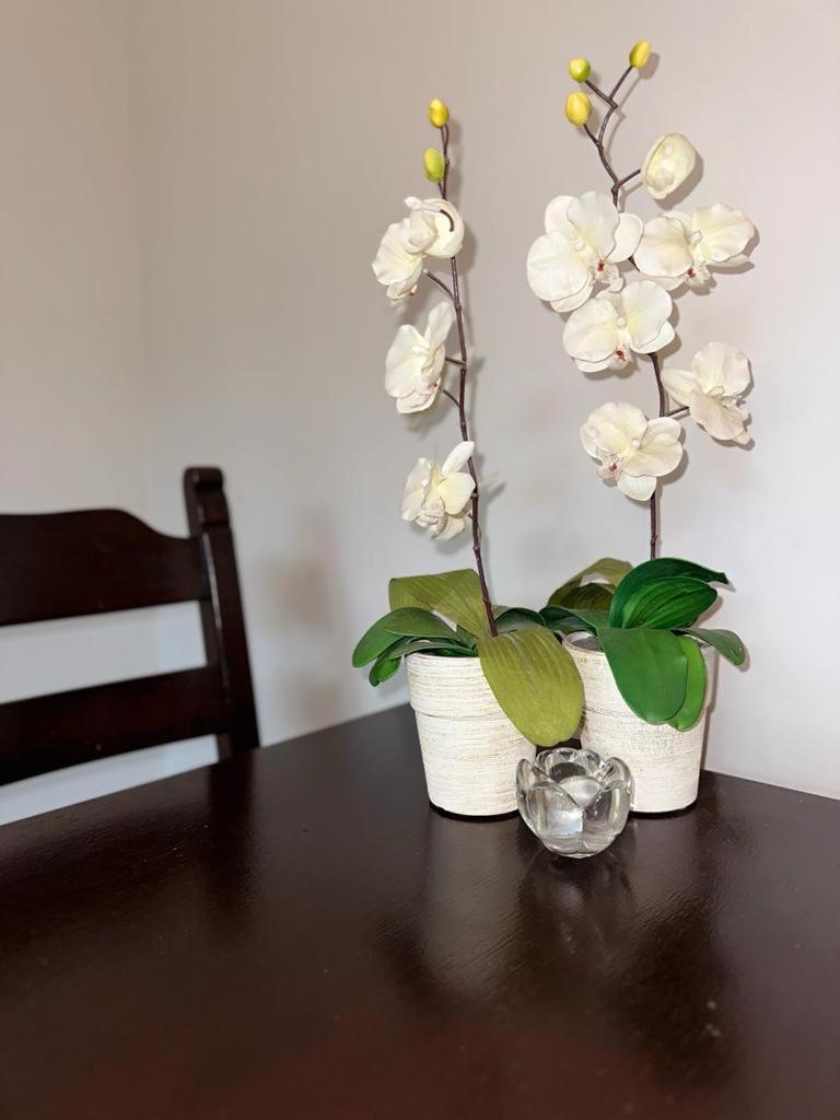Apartament Przy Rynku Poznań Kültér fotó